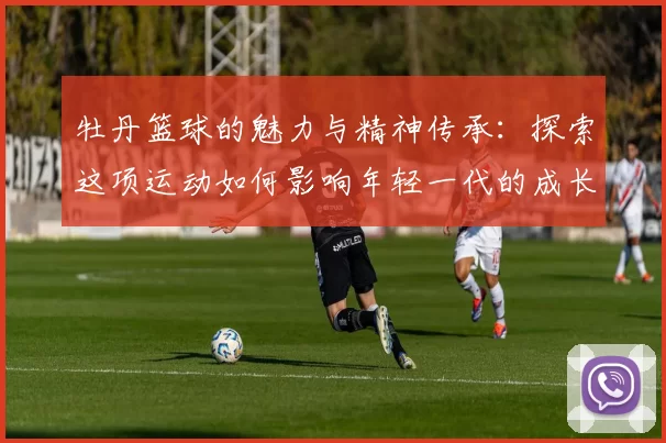 牡丹篮球的魅力与精神传承：探索这项运动如何影响年轻一代的成长与发展