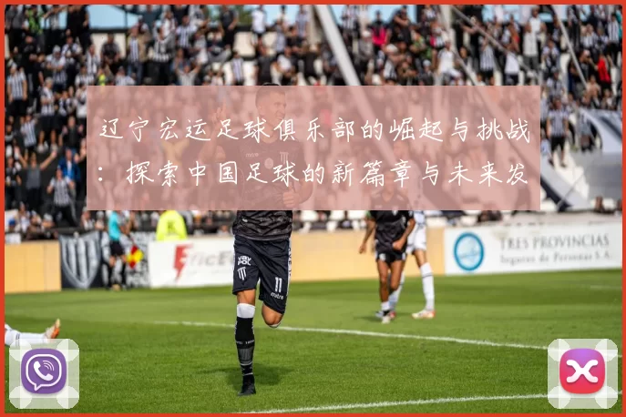 辽宁宏运足球俱乐部的崛起与挑战：探索中国足球的新篇章与未来发展方向