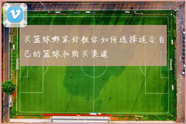买篮球哪家好教你如何选择适合自己的篮球和购买渠道