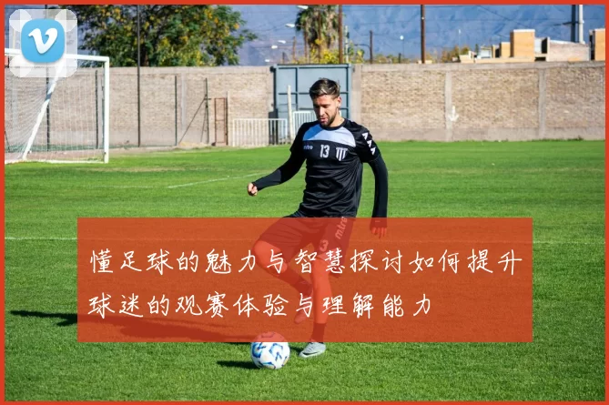 懂足球的魅力与智慧探讨如何提升球迷的观赛体验与理解能力