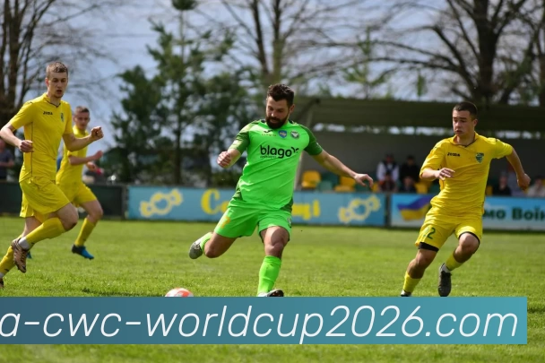 世界杯平台生态图